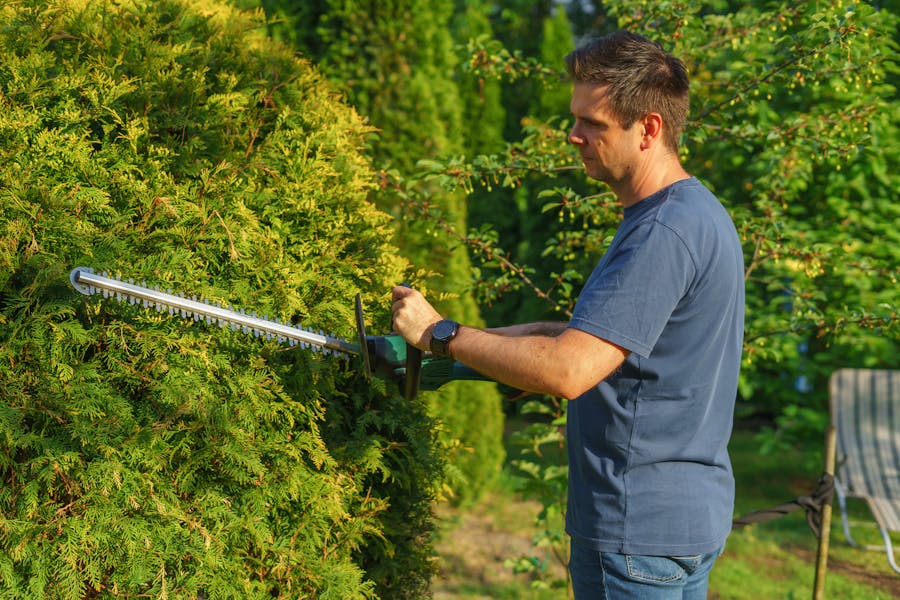 Gartenpflege
